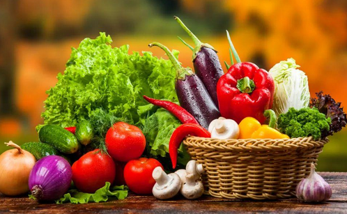 食品快速檢測設備—食品安全檢測儀是什么樣的儀器？